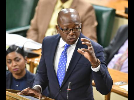 St Thomas Eastern Member of Parliament Dr Michelle Charles looks on as her brother, Pearnel Charles Jr, the minister of agriculture and fisheries, makes his contribution to the Sectoral Debate in Gordon House Tuesday. 