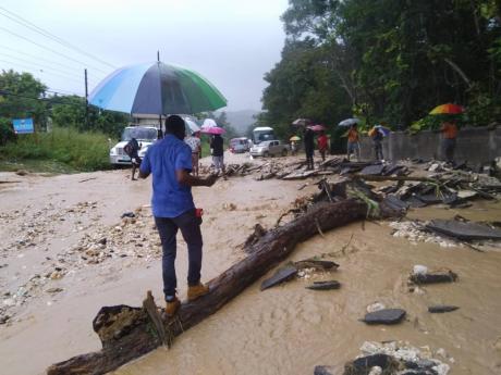 
A man walks on a fallen tree on the flood-ravaged Unity Hall main road in Montego Bay.