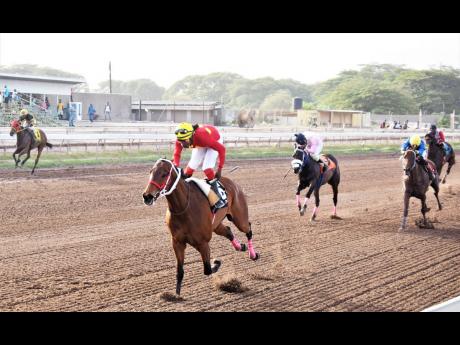 
GOD OF LOVE, ridden by Robert ‘Hard ball” Hallodeen powers home to win the eighth race over five furlongs round, a three-year-old upwards, Non-Restricted Overnight Allowance race at Caymanas Park on Saturday. 