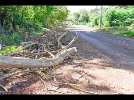 Branches left at a section of Victoria Town Road in Manchester which was blocked by residents on May 10.