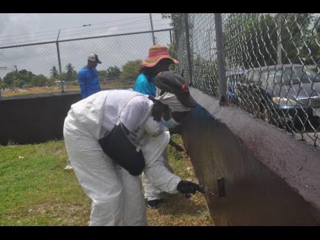 With her stroke-hit hand in a brace, Michelle Downie paints the perimeter fence of Blackwood Gardens Basic School on Labour Day. 