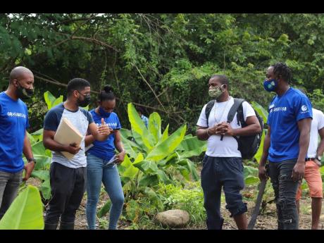 Personnel from the Rural Agricultural Development Authority conducting a farm visit involving one of the Support Local Growing Together programme participants in Oracabessa. 