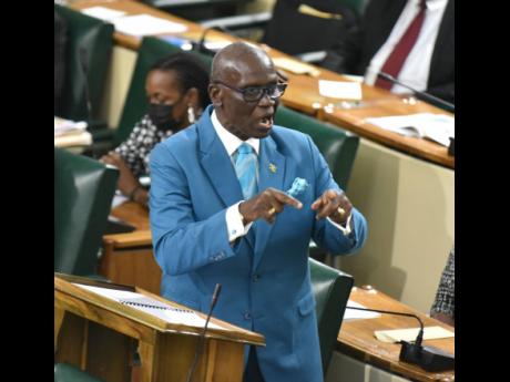 Local Government and Rural Development Minister Desmond McKenzie making his contribution to the Sectoral Debate in Parliament yesterday.