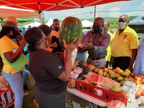 Lizette Marshall of Thicketts district, St Ann prepares to hand Agriculture Minister Pearnel Charles Jr a watermelon.