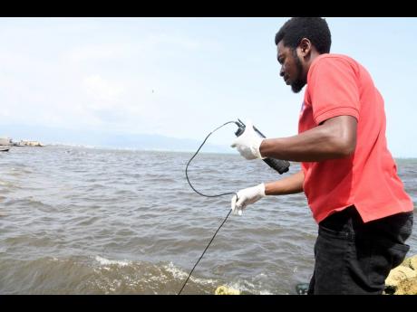 NEPA environmental officer Leroy Taylor collecting samples and conducting tests yesterday following reports of a fish kill within the Kingston Harbour in the vicinity of the mouth of the Dawkins Pond in the Port Henderson Road area of St Catherine.