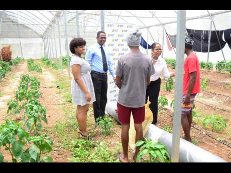A recent donation of agricultural supplies and farm tools from International Game Technology (IGT) to the Sunbeam Children’s Home in Old Harbour, St Catherine, will aid the ongoing revival of the institution’s agriculture programme. An animated Debbie 