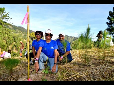 Members of the IDB team are all smiles after planting trees on the journey.