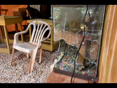 A shattered aquarium bore evidence of the violence that unfolded on Green Glebe Road in Red Hills Saturday.