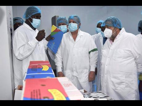 St Vincent and the Grenadines country manager for Rainforest Caribbean, Stephen Seymour (left), explains the quality and standard process to Brian Jardim (centre), chief executive officer, Rainforest, and Prime Minister Dr Ralph Gonsalves during a tour of 