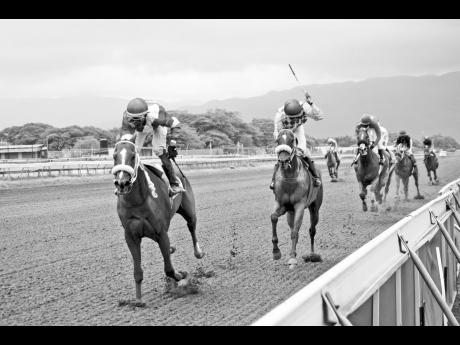 
CURLIN’S AFFAIR, ridden by Reyan Lewis, wins the fifth race, a three-year-old and upwards stakes five furlongs round at Caymanas Park yesterday.