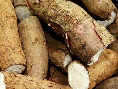 Cassava tubers in the market.