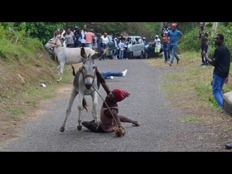 The thrills and spills of the donkey races are sure to excite in Crofts Hill, Clarendon, come Independence Day, just as this one did in Top Hill, St Catherine, in 2019.