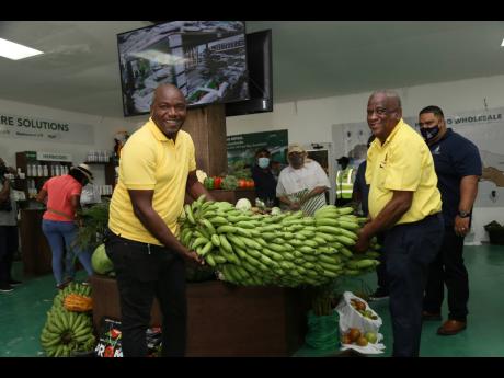Lothan Cousins (right), opposition spokesman on agriculture, assists Franklin Witter, state minister in the Ministry of Agriculture and Fisheries with a bunch of bananas at the Denbigh Agricultural show.