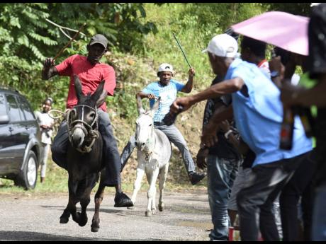 The crowd cheers as John Dawkins and his donkey, Blossom, lead Marlon Jackson and his mount, Capleton, at the Top Hill Donkey Racing Festival in St Catherine on Emancipation Day.