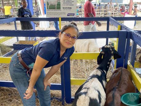 Dr Gabrielle Young, senior manager for the Livestock Support Unit at Nutramix, standing beside some of the goats produced through artificial insemination by her team.
