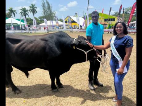 National Farm Queen 2022 Sutanya Ellington poses with a bull and its handler at the Denbigh Agricultural, Industrial and Food Show in Clarendon earlier this week.