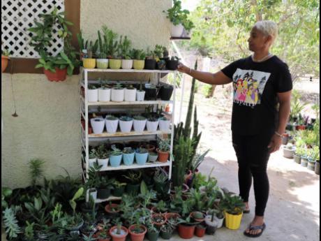 Clarke Darby has a number of succulents in her garden.