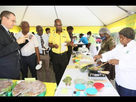 Sylvia Porteous, home economic specialist at the Jamaica 4-H Clubs, prepares stir-fry Spanish needle for (from left) Oliver Blake , head of Political and Development Team, British High Commission; Franklin Witter, minister of state in the Ministry of Agric