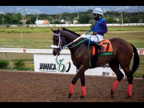 JOHNCROWJEFF (Jerome Innis aboard) winner of last Saturday’s 10th race at Caymanas Park. The four-year-old gelding is trained by Jason DaCosta.