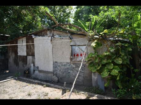 The home in which Dezreen Miller and Anita Stephenson live in Olympic Gardens, St Andrew.