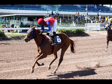 IT’S ALL I, ridden by Romario Spencer, canters away from the field  for an easy victory over five furlongs round in a three-year-old and Upwards Optional Claiming race at Caymanas Park. The first phase of work to install a solar system at the racing faci