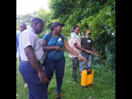 The Jamaica Fire Brigade engages residents in a practical simulation exercise of how to extinguish a forest fire during a recent forest fire management training.