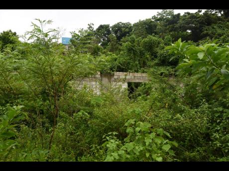 The unfinished walls of the abandoned community centre in Cheswick, St Thomas, is clouded peek out from the bushes after construction was halted on the facility some time ago. Residents say the property was also set to house a basic school. A commitment wa