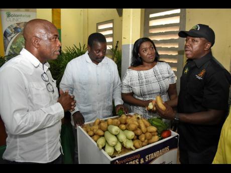 Pearnel Charles Jr (right), minister of agriculture and fisheries, quizzes Loxley Waite (left), national coordinator for the Irish potato and onion programme in Jamaica, on best practices for cultivation. Also in photo are Robert Montague, member of parlia