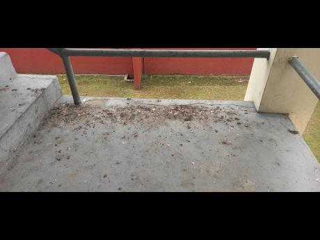 Insect droppings along a corridor near a flight of stairs.