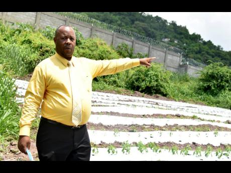 Papine High principal Leighton Christie points to the school’s farm in which students invest their time and reap 100 per cent of the profits. The single-shift nature of the school militates against students receiving optimal academic attention because of