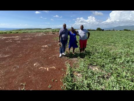 From left: Siblings Huntley Reynolds, Zenora Reynolds Davis and Orden Reynolds standing between an area of their farm which was razed by fire last month and the section which was spared.