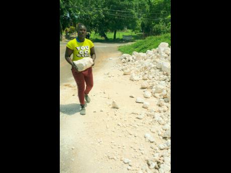 Dian Humes carries boulders to workmen constructing a retaining wall in the vicinity of Big Pond near Old Harbour in St Catherine on Friday.