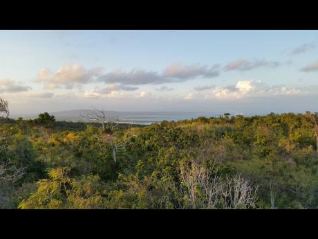 View from Portland Ridge to West Harbour, Jamaica.