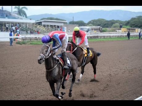 CALCULUS (left), ridden by Shane Ellis, wins the MENUDO trophy ahead of I AM FRED over 10 furlongs at Caymanas Park on September 24.