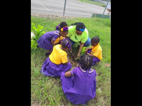 Forest technician Tiphany Labeach plants a seedling with students of God’s Little Angels Early Childhood Development Centre in St Catherine.