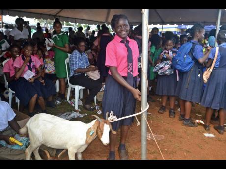 Eleven-year-old Sonilia McLean holds the goat she caught as a prize at Minard Livestock Show and Beef Festival in 2019.