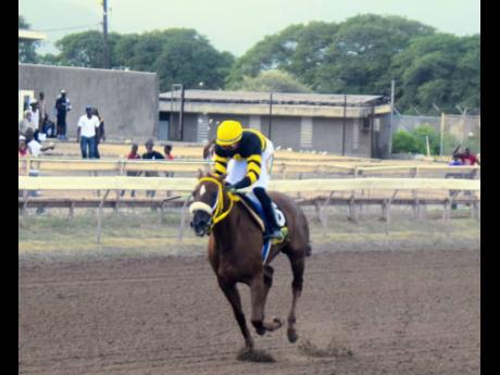ATOMICA, ridden by Dane Dawkins, runs away to win the 102nd running of the Jamaica Derby by 9 and 1/4 lengths over 12 furlongs at Caymanas Park on August 6.