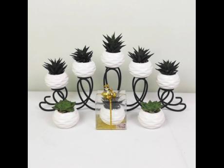 These potted plants of succulents would make the perfect decor gift.