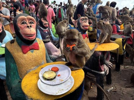 Monkeys enjoying fruits during Monkey Feast Festival in Lopburi province, Thailand.