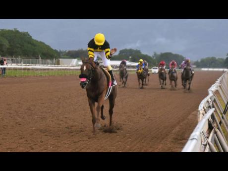 ATOMICA, ridden by Dane Dawkins, wins the Jamaica Day Cup over nine and a half furlongs in a track record 1 minute 57 seconds, a three-year-old and upwards Graded Stakes, at Caymanas Park on November 12.