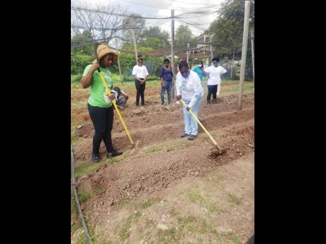 Some of the participants in the skills training programme for disabled women, prepare a plot for farming.