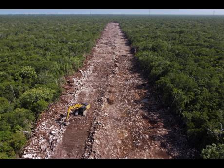 A bulldozer clears an area of forest that will be the line of the Mayan Train in Puerto Morelos, Quintana Roo state, Mexico.