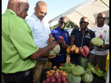 From left: Franklyn Witter (left), minister without portfolio in the Ministry of Agriculture and Fisheries; Mikael Phillips, member of parliament for Manchester North Western; Winston Simpson, acting CEO of the Rural Agricultural Development Authority; Agr