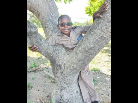 Samuel Davis, who is in grade three, has adjusted well and is performing well academically, his mother said.