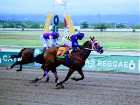 CHAMPION BUBBLER (right), ridden by Shane Ellis, defeating AWESOME PRINCE (Anthony Thomas) over 1000 metres straight at Caymanas Park on August 20 last year. 
