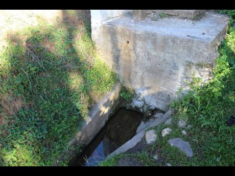 This little ‘catchment’ of untreated water is one of the water sources in Aleppo, St Mary.