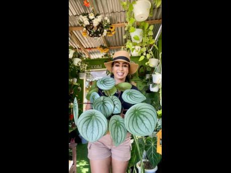 Owner of Elsa Plant Supplies and More,  Elsa ‘The Plant Lady’ Jarrett, shares the spotlight with her unique watermelon peperomia, which tends to grow large in size.