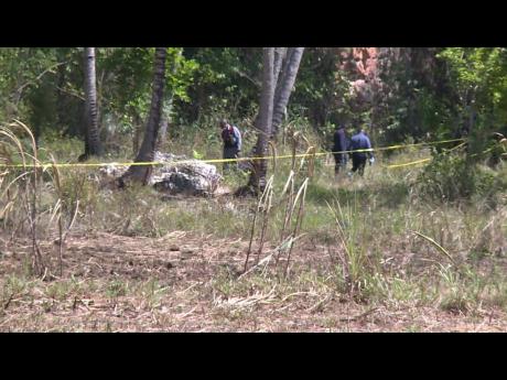 Police investigators comb a section of a 17-acre property for clues into the murders of 58-year-old Michael Slue and his 26-year-old son, Michael Slue Jr, whose bodies were discovered on Monday about 5:30 p.m. in Worthy Park, St Catherine.