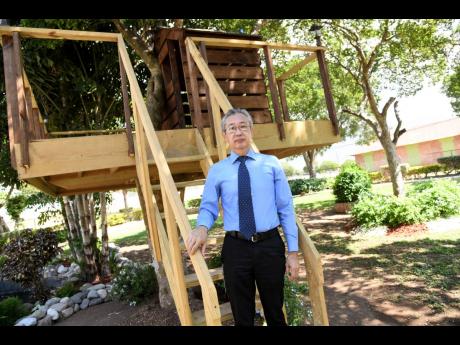 Dr Myo Kyaw Oo, senior medical officer at the Bellevue Hospital in Kingston, stands at the entrance to a tree house in Oo Park, a therapeutic oasis dedicated in his honour at the facility.