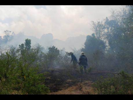 In this file photo, members of the Lucea Fire Department are seen putting out a bushfire. Current drought conditions have resulted in the shortage of water and and increase in the number of bushfires in Hanover.